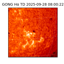 gong - 2025-09-28T08:00:22