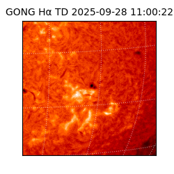 gong - 2025-09-28T11:00:22