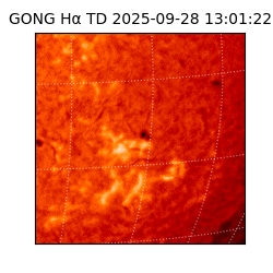 gong - 2025-09-28T13:01:22