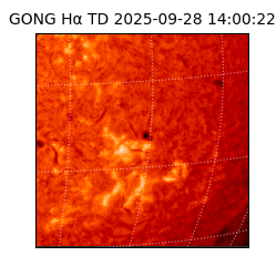 gong - 2025-09-28T14:00:22