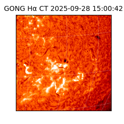 gong - 2025-09-28T15:00:42