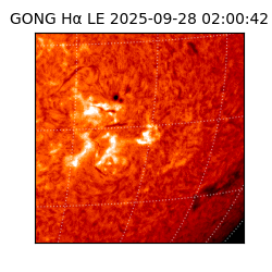 gong - 2025-09-28T02:00:42