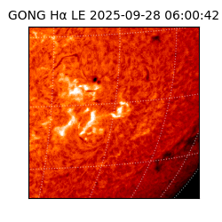 gong - 2025-09-28T06:00:42