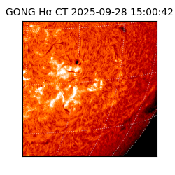 gong - 2025-09-28T15:00:42