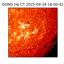 gong - 2025-09-28T16:00:42