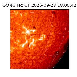 gong - 2025-09-28T18:00:42