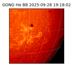 gong - 2025-09-28T19:18:02