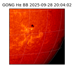 gong - 2025-09-28T20:04:02