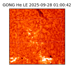 gong - 2025-09-28T01:00:42