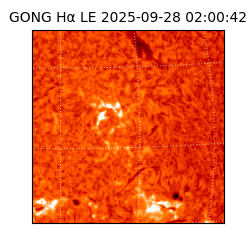 gong - 2025-09-28T02:00:42