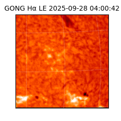 gong - 2025-09-28T04:00:42