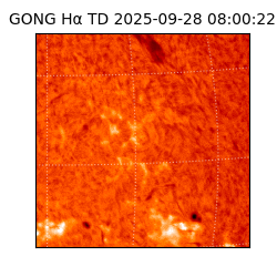 gong - 2025-09-28T08:00:22