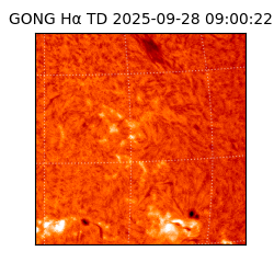 gong - 2025-09-28T09:00:22