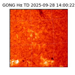 gong - 2025-09-28T14:00:22