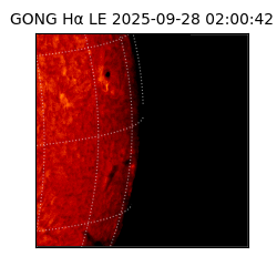gong - 2025-09-28T02:00:42
