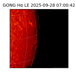 gong - 2025-09-28T07:00:42