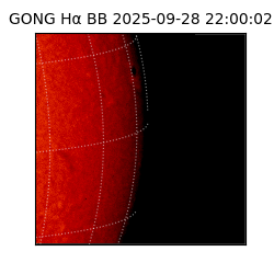 gong - 2025-09-28T22:00:02