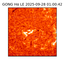 gong - 2025-09-28T01:00:42