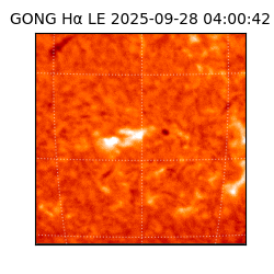 gong - 2025-09-28T04:00:42