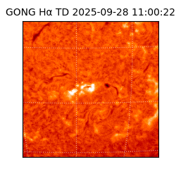 gong - 2025-09-28T11:00:22