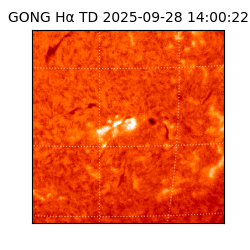 gong - 2025-09-28T14:00:22