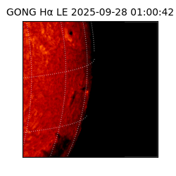 gong - 2025-09-28T01:00:42