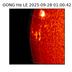 gong - 2025-09-28T01:00:42