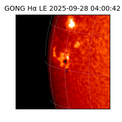 gong - 2025-09-28T04:00:42