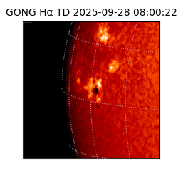 gong - 2025-09-28T08:00:22