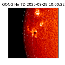 gong - 2025-09-28T10:00:22