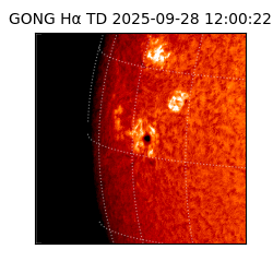 gong - 2025-09-28T12:00:22