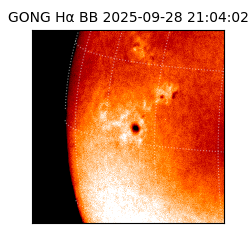 gong - 2025-09-28T21:04:02