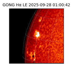 gong - 2025-09-28T01:00:42