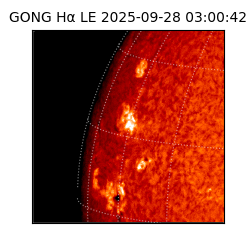 gong - 2025-09-28T03:00:42