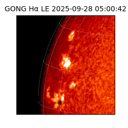 gong - 2025-09-28T05:00:42
