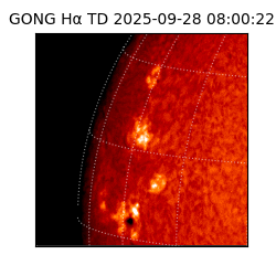 gong - 2025-09-28T08:00:22