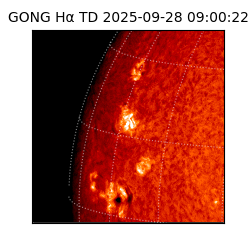 gong - 2025-09-28T09:00:22