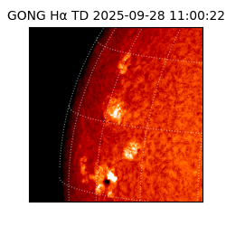 gong - 2025-09-28T11:00:22