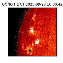 gong - 2025-09-28T16:00:42