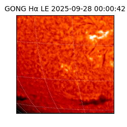 gong - 2025-09-28T00:00:42