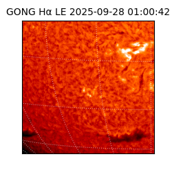 gong - 2025-09-28T01:00:42