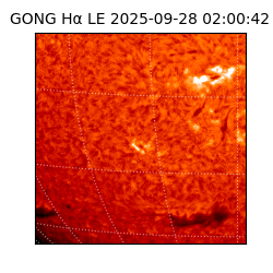 gong - 2025-09-28T02:00:42