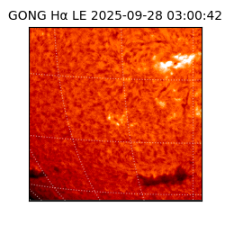 gong - 2025-09-28T03:00:42