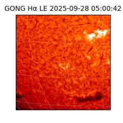 gong - 2025-09-28T05:00:42