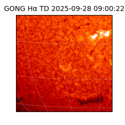 gong - 2025-09-28T09:00:22