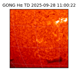 gong - 2025-09-28T11:00:22