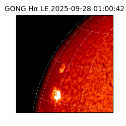gong - 2025-09-28T01:00:42