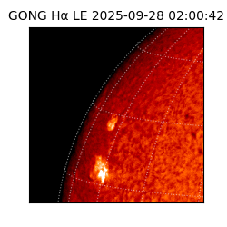 gong - 2025-09-28T02:00:42