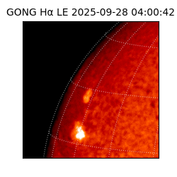 gong - 2025-09-28T04:00:42