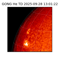 gong - 2025-09-28T13:01:22